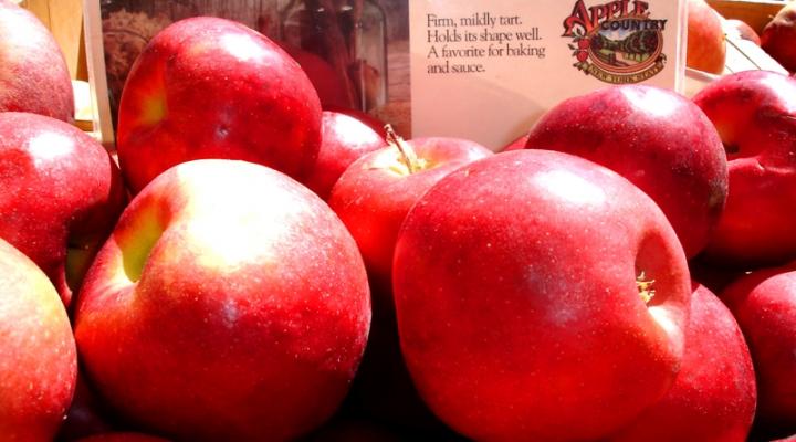 I LOVE THE BIG APPLE…In The Spirit of Sustainability.