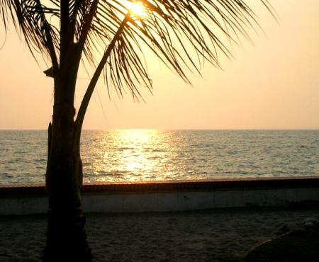 In The Mood For Reminiscing & Batido De Mamey (Milkshake)