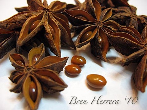Star Anise/Anise Estrellado