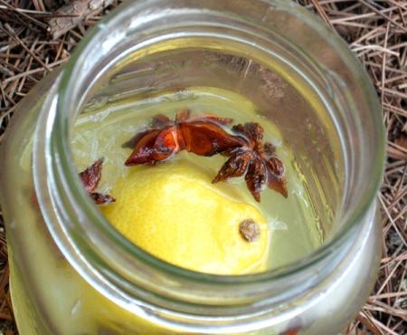 I'm Going To Be on Daytime TV! Oh & The New Lemonade!