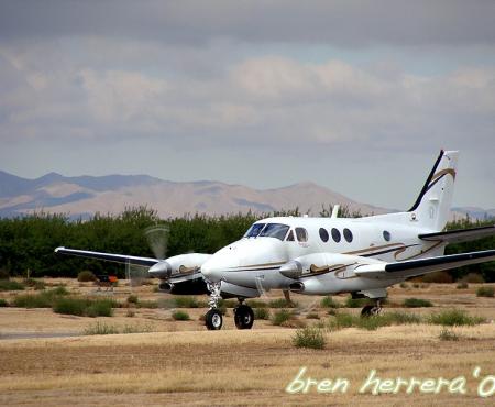 A Fly-Over the POM Wonderful Ruby Orchards & Video