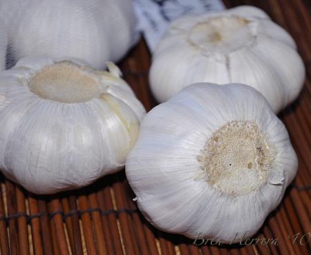 The Benefits of Garlic & Why I Love It So