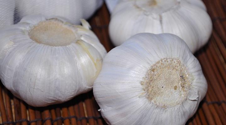 The Benefits of Garlic & Why I Love It So