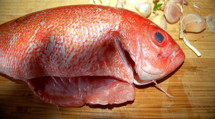 Re-Introducing Red Snapper Escovitch Recipe on LATINA.com