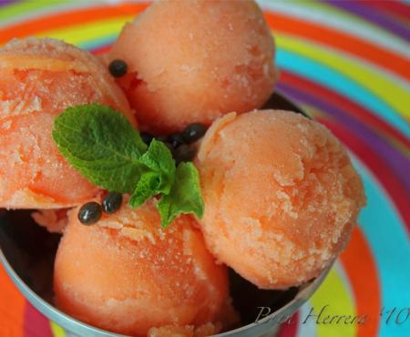 "Viva Vegan!" Cookbook Review: Papaya-Lime Sorbet (Guest Post)