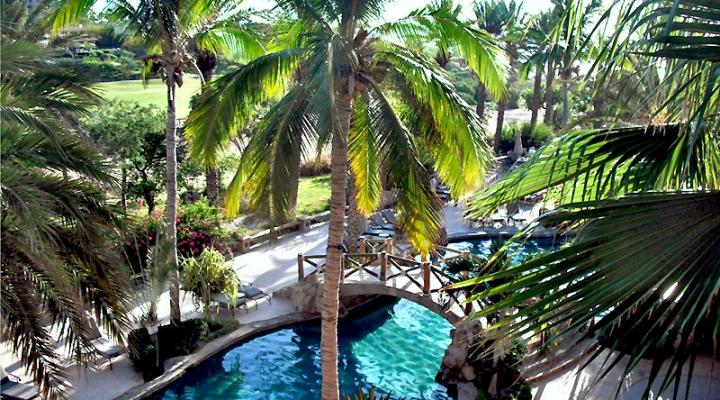 Cabo San Lucas, Mexico: A True Gourmand's Paradise. Part I