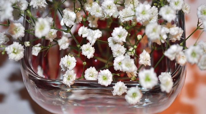 7 Simple and Classy Decorating Ideas for Your Thanksgiving Dinner Table