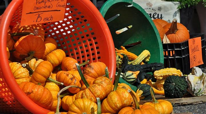 Fall Harvest Festivals & Farmers’ Markets
