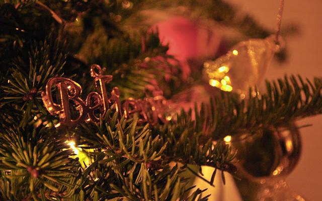 On the 4th Day of Christmas Our Family Did It Up!