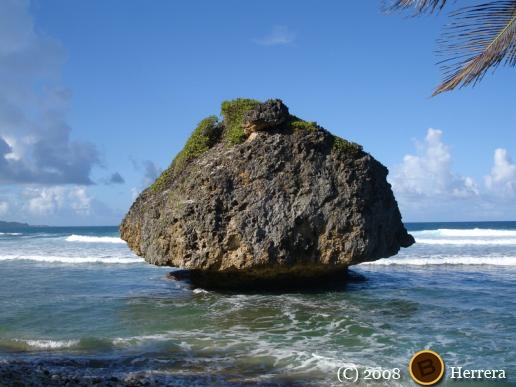 Living in Barbados. Even If For 5 Days.