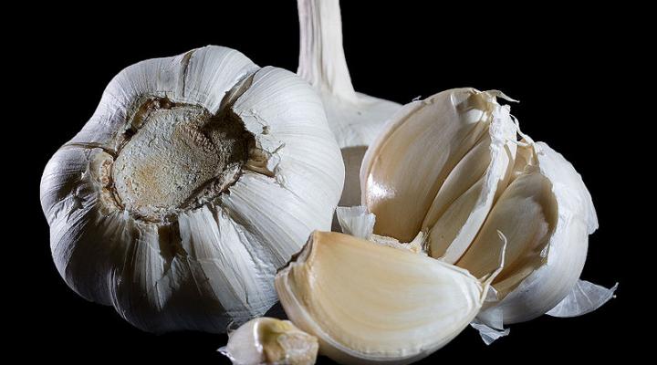 Garlic/Ajo