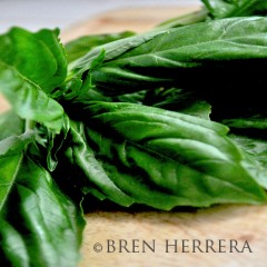 Basil/Albaca