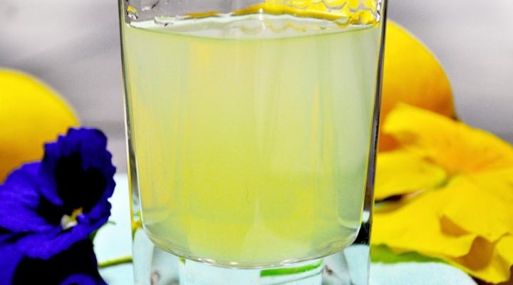 The French Riviera, The Lemon-y Life!