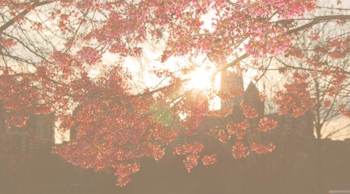 Flanboyant Eats v.4 & Wine {GIVEAWAY!}