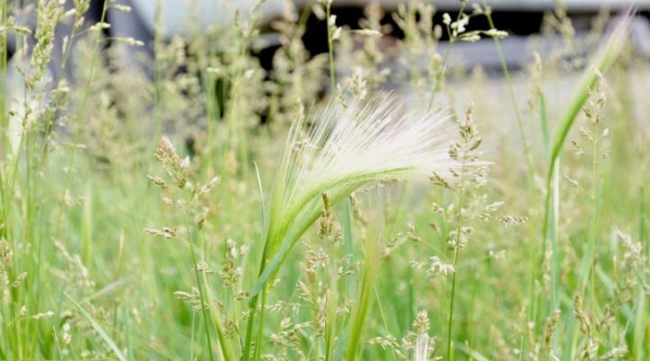 A Monday To Talk About & A Video Tag