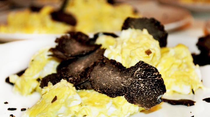 Devouring Truffles at the National Truffle Fest, Part II