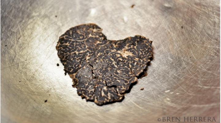 National Truffle Fest. A Most Decadent 3 Days…Part I