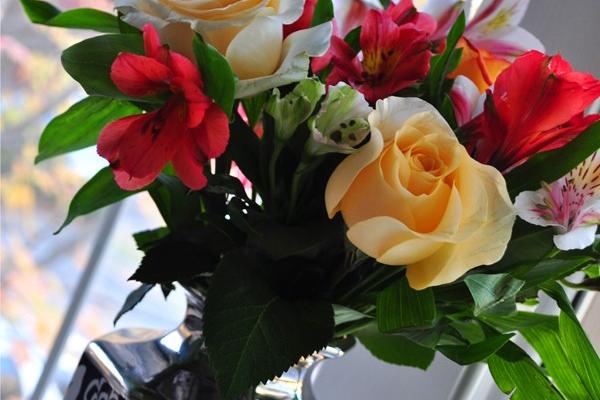 Birthday Wishes, Flowers, Shoes & Tequila Rosé!