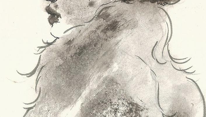 Illustrations That Inspire