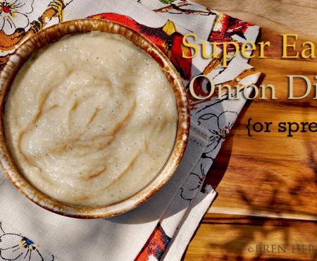 Easy Onion Dip