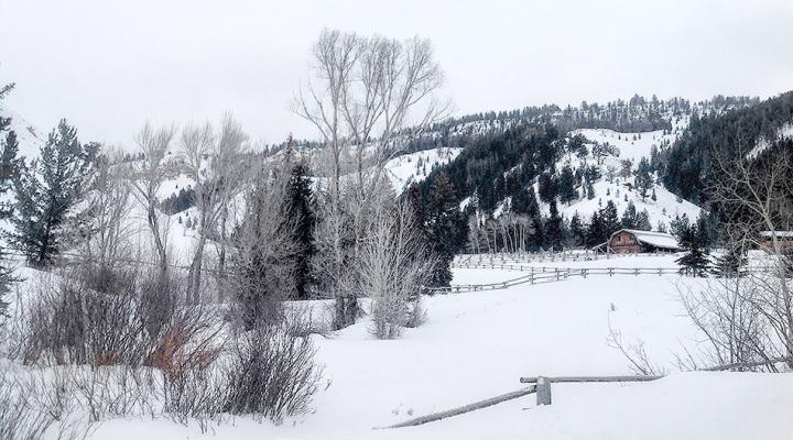 Winter in Grand Teton National Park, Part I