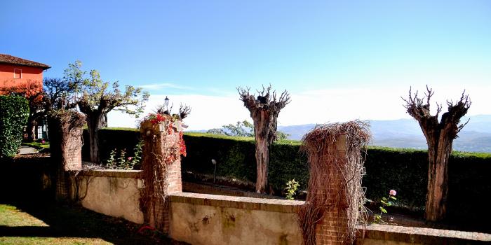 Two Reasons to Visit Alba, Italy: White Truffles and Hazelnuts