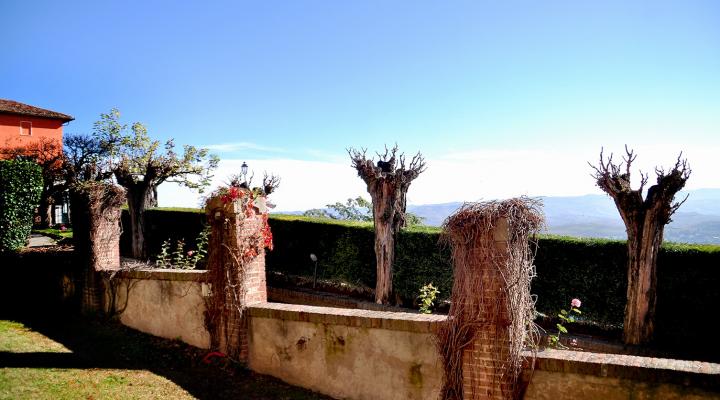 Two Reasons to Visit Alba, Italy: White Truffles and Hazelnuts