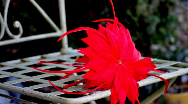 Birthday Affairs & Sparkly Shoes