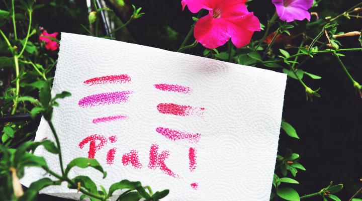 Pink Lips and Whatnot