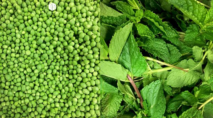 Chilled Sweet English Pea & Mint Soup